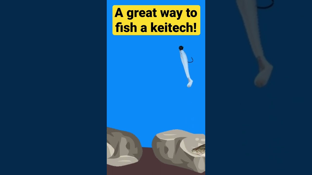 A GREAT way to fish a KEITECH! 