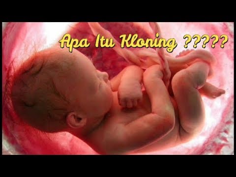 Video: Apa Itu Kloning?