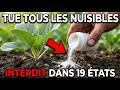 La Poudre De Cuisine À 2 € Qui Détruit Tous Les Ravageurs Du Jardin