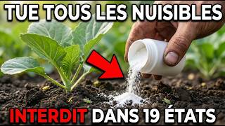 La Poudre De Cuisine À 2 € Qui Détruit Tous Les Ravageurs Du Jardin