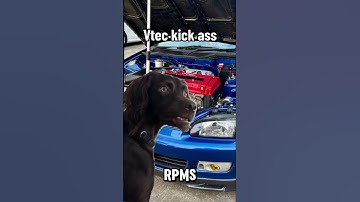 What is VTEC? The Secret Behind Honda’s Power!