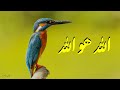 Allah Hu Sajjad Ali Allah Hu Allah Hu English Urdu Subtitle Allah Hu Allah Jalal Extra 