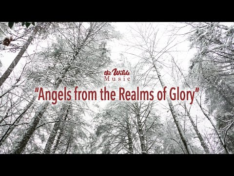 Angels from the Realms of Glory   The Wilds Music Official Lyric Video