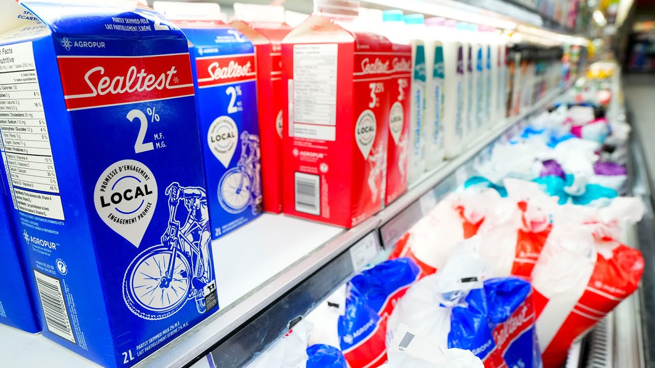 Milk prices set to rise two cents a litre next September