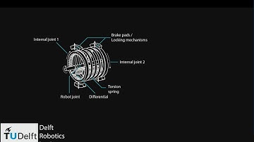 The Bi-directional Clutched Parallel Elastic Actuator (BIC-PEA)