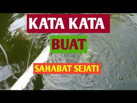  Kata  Kata  Buat Sahabat Sejati  YouTube