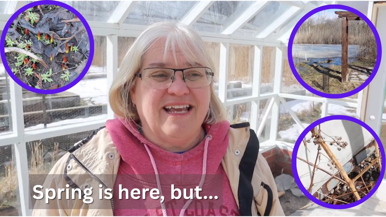 Early Signs of Spring… and Garden Heartbreak 💔🌱