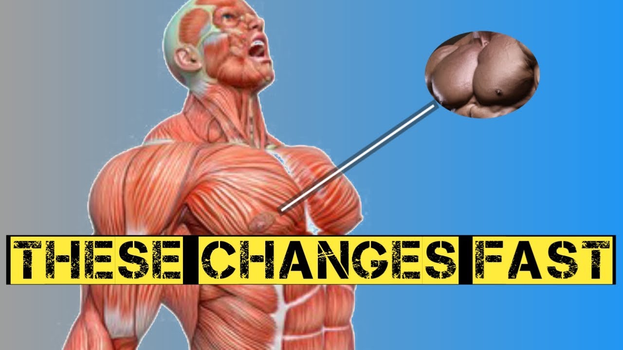 The 4 Best Exercises for a Defined Chest a Chiseled Chest) YouTube