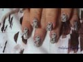 MoYou Enchanted Stamping Nail Art Plate 14 Swatches and Siamese Cat Inspired Manicure