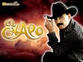 El Chapo De Sinaloa MIX