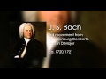 1 brandenburg concerto in d major 3rd movement  bach