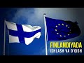 🇫🇮 Finlandiya: Eng ko'p so'ralgan savollarga javob beraman | O'qish | Ishlash