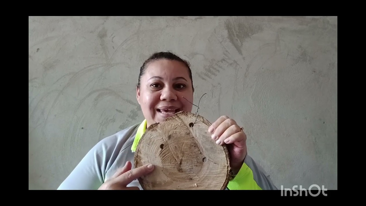 Vamos replantar orquídeas 