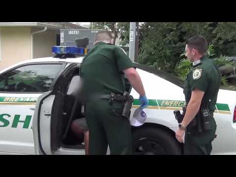 Brevard deputy does ride along with Sheriff ivy.