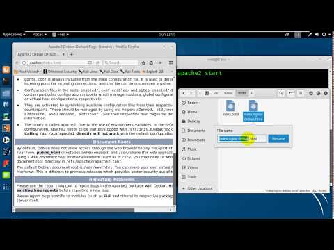 How to Start Apache2 in Kali linux