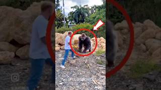 Самый СИЛЬНЫЙ укус в истории… он мог ПРОГЛОТИТЬ МАШИНУ 😱 #shorts