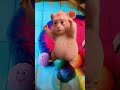 Colour water balloon Reverse #shorts #video #viral #trending #asmr #sr #balloon #shortvideos