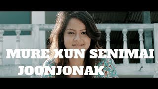 Miniatura del video "Senimai (joonjonak)"