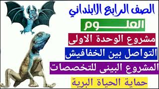 .علوم.الصف.الرابع.مشروع.الوحدة.الاولى.التواصل.بين.الخفافيش.المشروع.البينى.للتخصصات.ترم.اول.