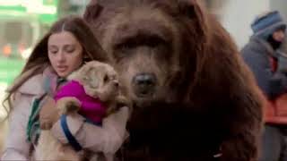 Bear in NYC Prank | الدب في مدينة نيويورك | مزحة | Bero_Reda