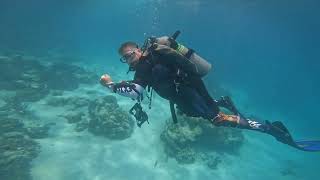 Diving in Roatan Honduras  Cocoview Resort
