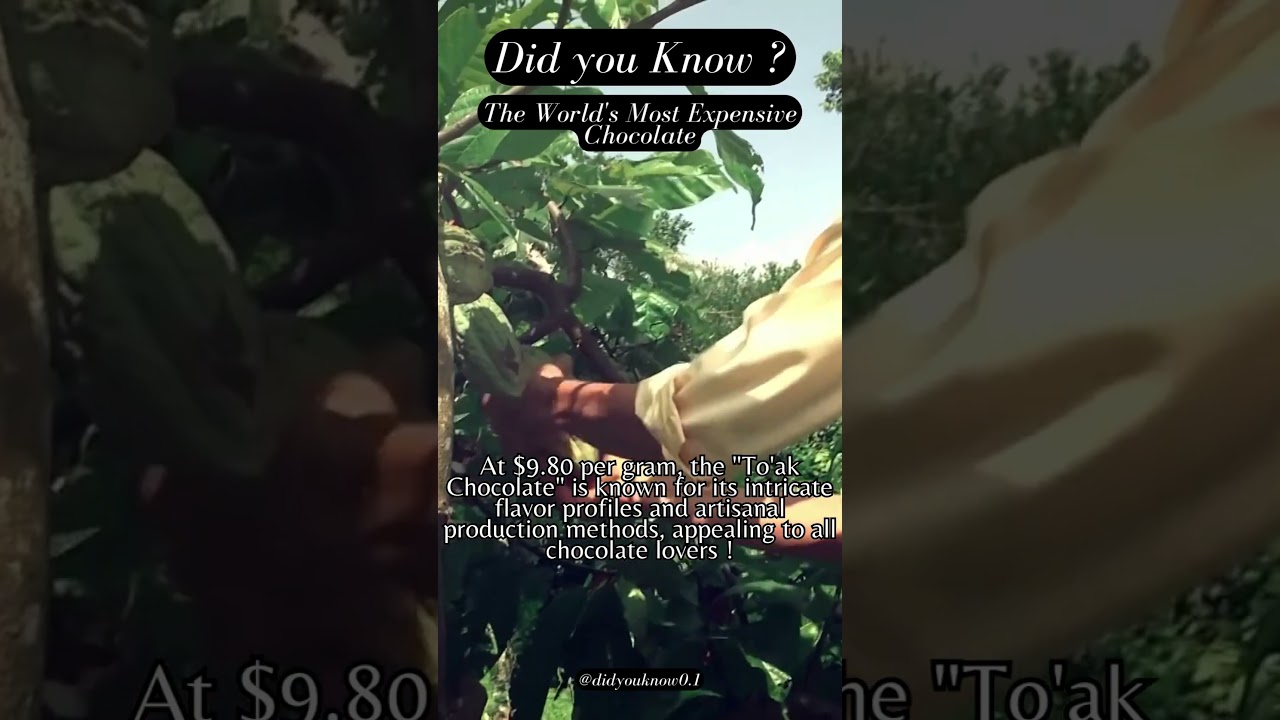 Did you Know ? The World's Most Expensive Chocolate 