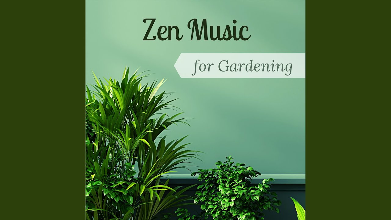 Watch Calm Evening on YouTube Watch Calm Evening on YouTube