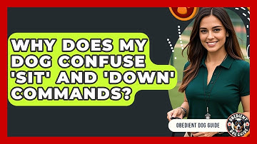 Why Does My Dog Confuse 