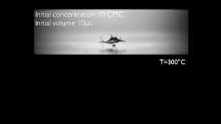 Winning video at Gallery of Fluid Motion 2013