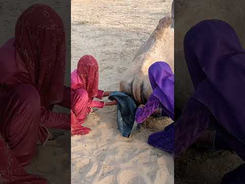 نهضت وحاولت إخراج الفتاتين اللتين كانتا مستلقيتين تحت المقلاة