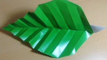 Origami Leaf (No Music)