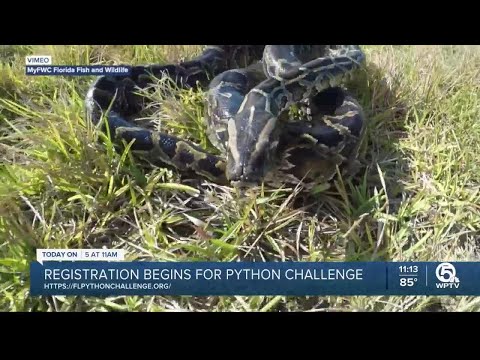 Registration begins for Florida's 2023 Python Challenge