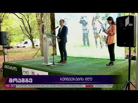 რეინჯერთა დღე