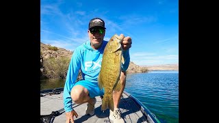 Details FISHING REPORT 4/2/2024 LAKE MOHAVE WILLOW BEACH COLORADO RIVER Guide
