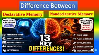 Differences Between Declarative Memory and  Nondeclarative Memory
