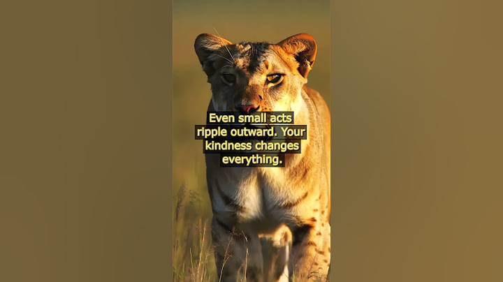 Ripple Effect Kindness