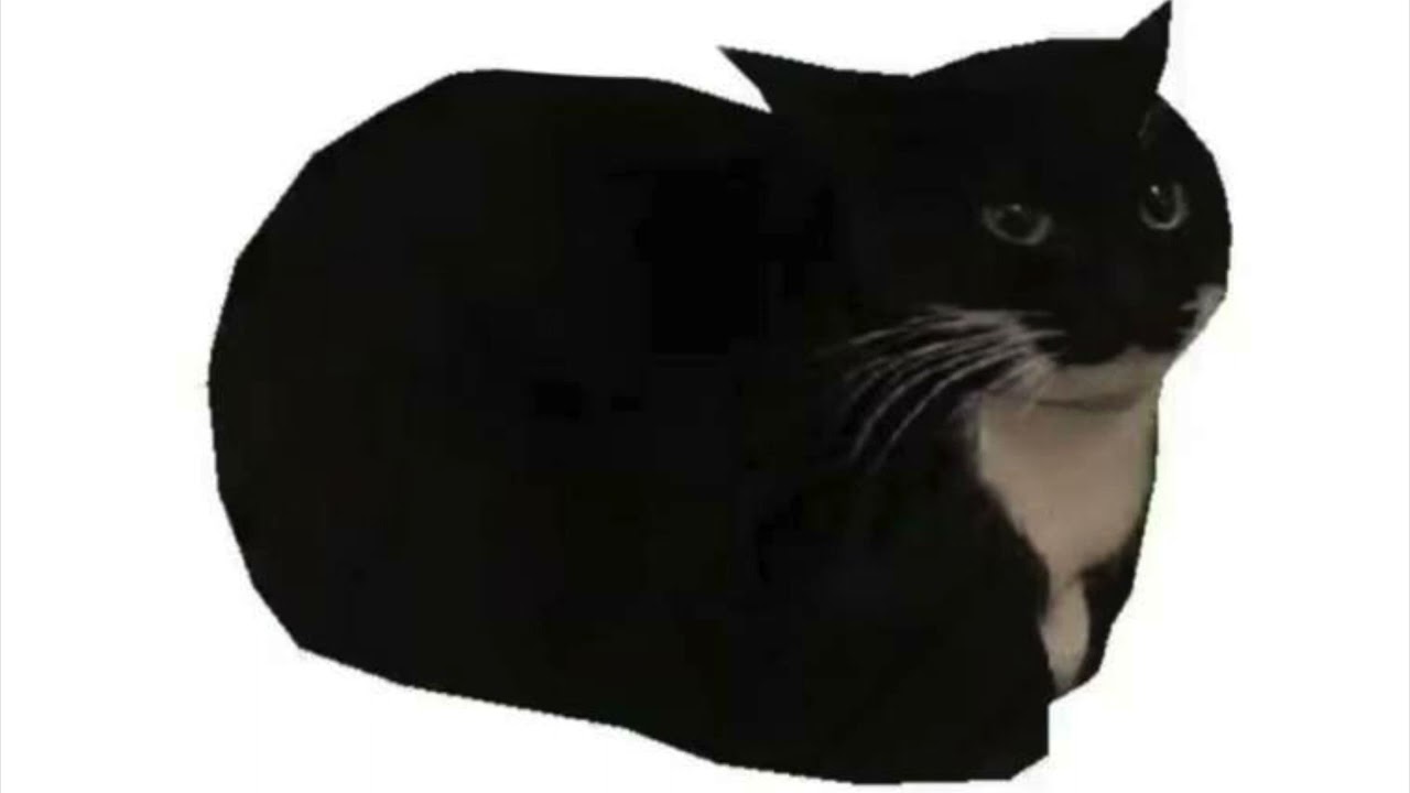 Sons d'interférences pour samples