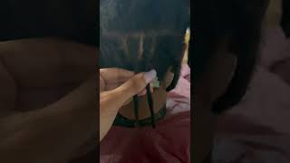 #shorts How to properly split your locs in half