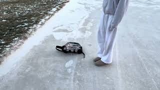 Heres Why You Shouldnt Use Just Any Pvc Backpack