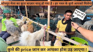 Sonpur mela 2023| dog market।सोनपुर मेला में कुत्ता बाज़ार लग गया ।
