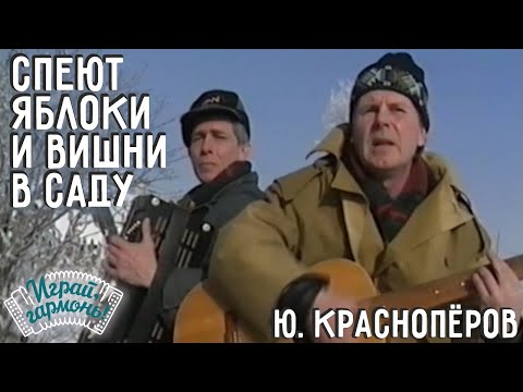 Играй, Гармонь! | Юрий Краснопёров И Владимир Кондаков | Спеют Яблоки И Вишни В Саду...