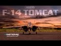 Freewing F-14 Tomcat Twin 80mm EDF Jet - Feature Review and Flight Demo