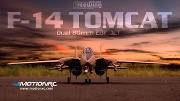 Freewing F-14 Tomcat Twin 80mm EDF Jet - Feature Review and Flight Demo