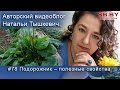 Подорожник – полезные свойства