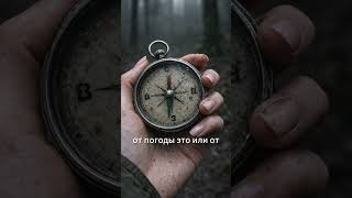 В этом лесу верить нельзя никому, даже компасу? Тизер 2 серии аудиосериала «Живыми не возвращаются».