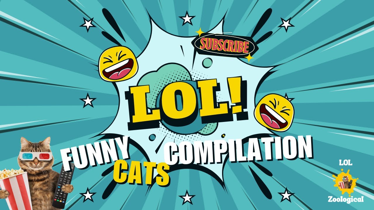 10 Hilarious Cat Moments | Funny Cats Compilation 2024 | Funny Cat ...