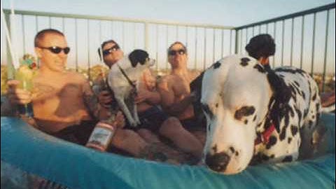 Sublime - Doin