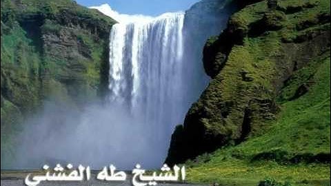 تلاوة رائعة للشيخ طه الفشني