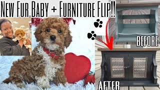 MEET OUR NEW FUR BABY!! + FLIPPING FURNITURE FOR HIM!