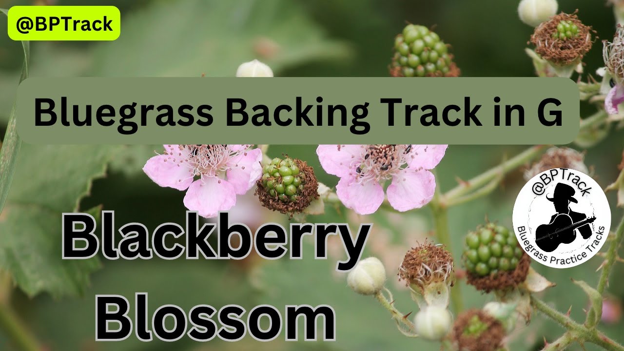 Blackberry Blossom Bluegrass Backing Track YouTube
